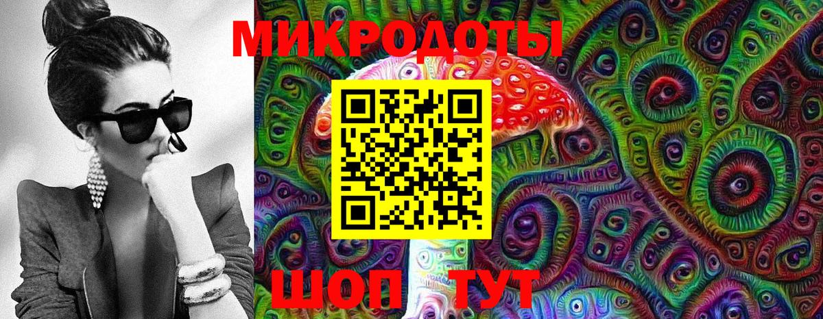 Псилоцибиновые грибы Psilocybe Краснокаменск