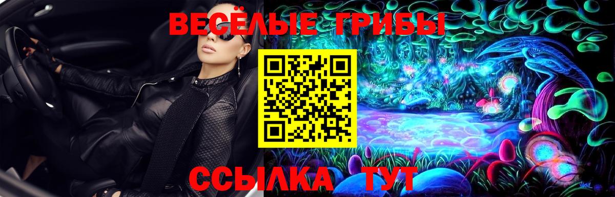Краснокаменск  Псилоцибиновые грибы мухоморы  Вход с VPN 